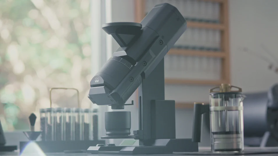 Welcome to Our Store